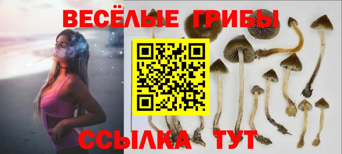 Галлюциногенные грибы Psilocybine cubensis Верхний Уфалей