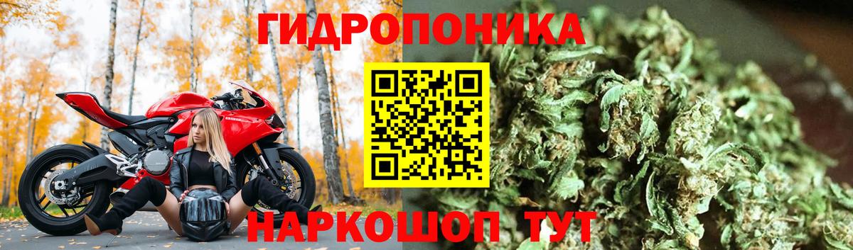 Канабис White Widow Верхний Уфалей